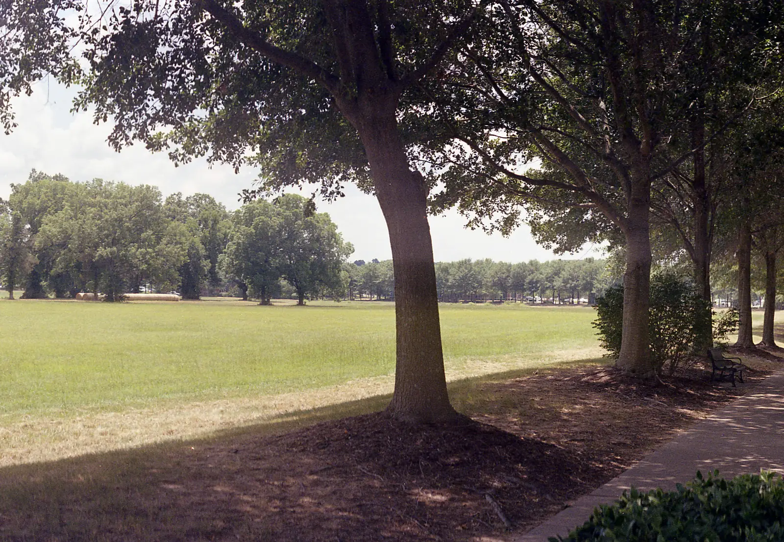 A shaded walking path beside open lawn at Schilling Farms in Collierville.