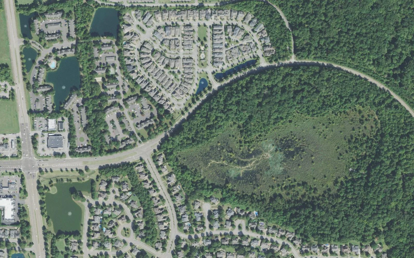 Almadale Farms in Collierville from the air: Houston Levee Road and the curve of Wolf River Boulevard, with homes, ponds and a large wooded tract