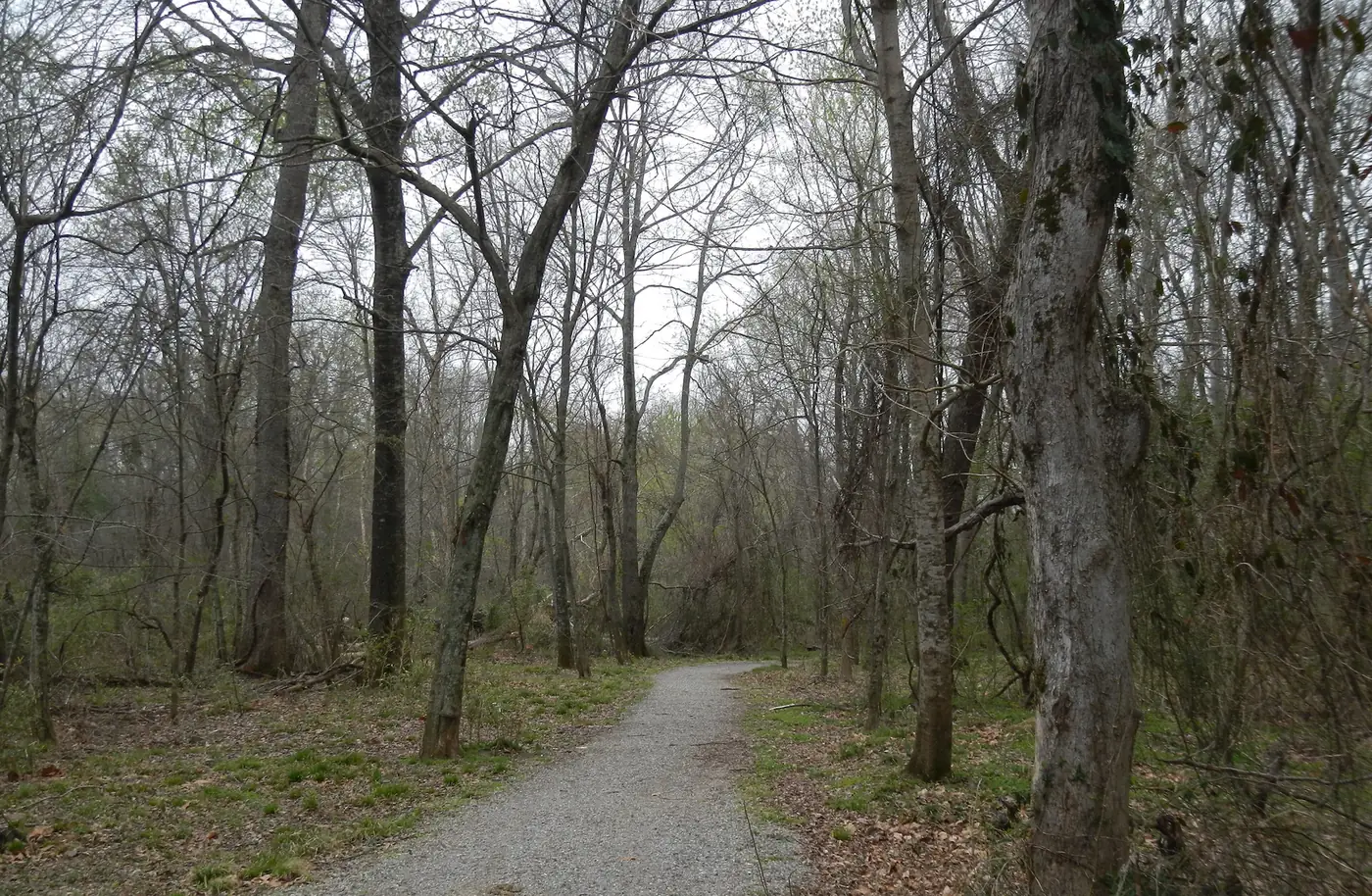 A gravel trail through bottomland woods near the Wolf River at State Route 205, north of Collierville.