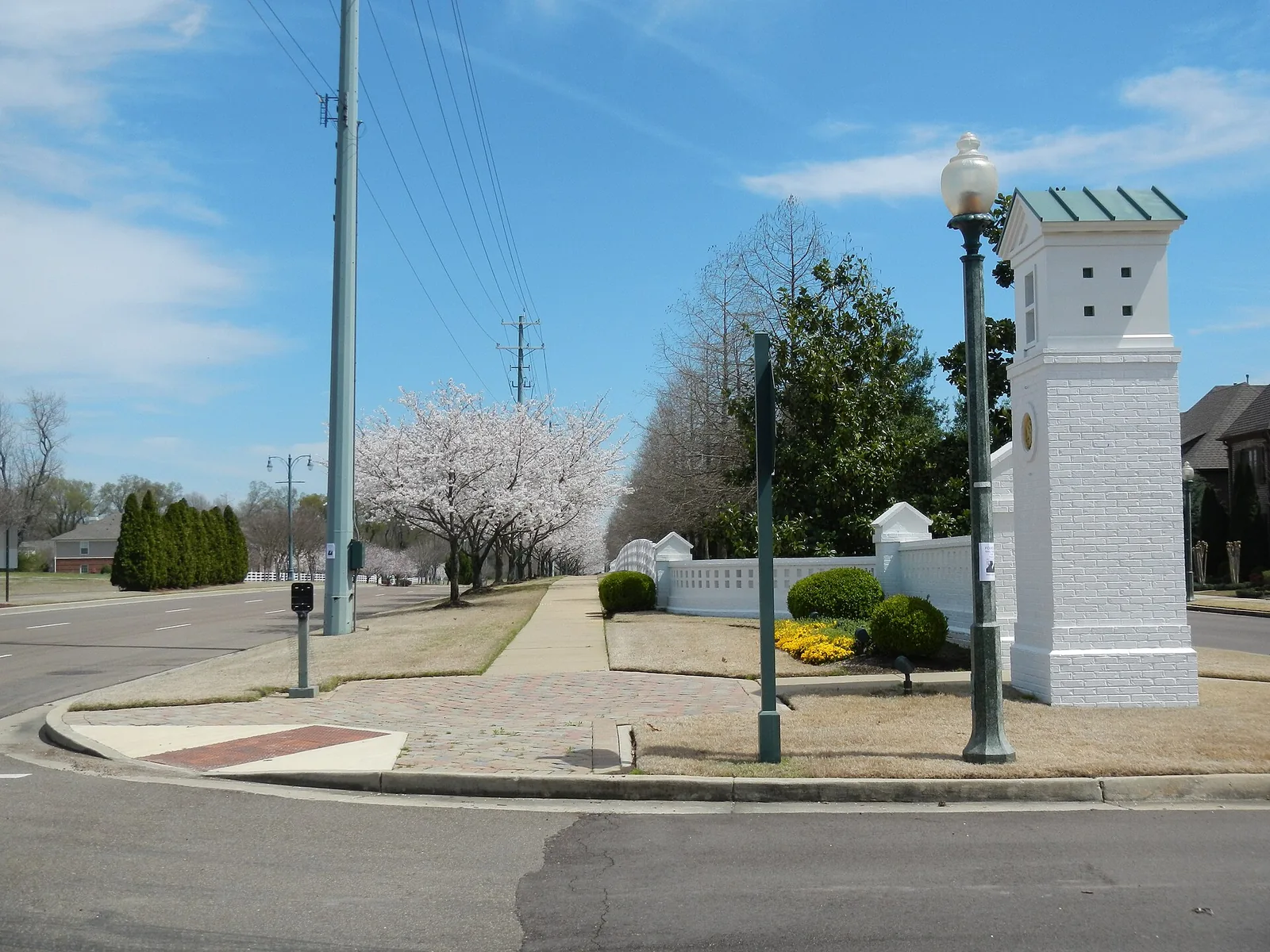 A lamppost, brick pillar and flowering trees at a street corner in Collierville.