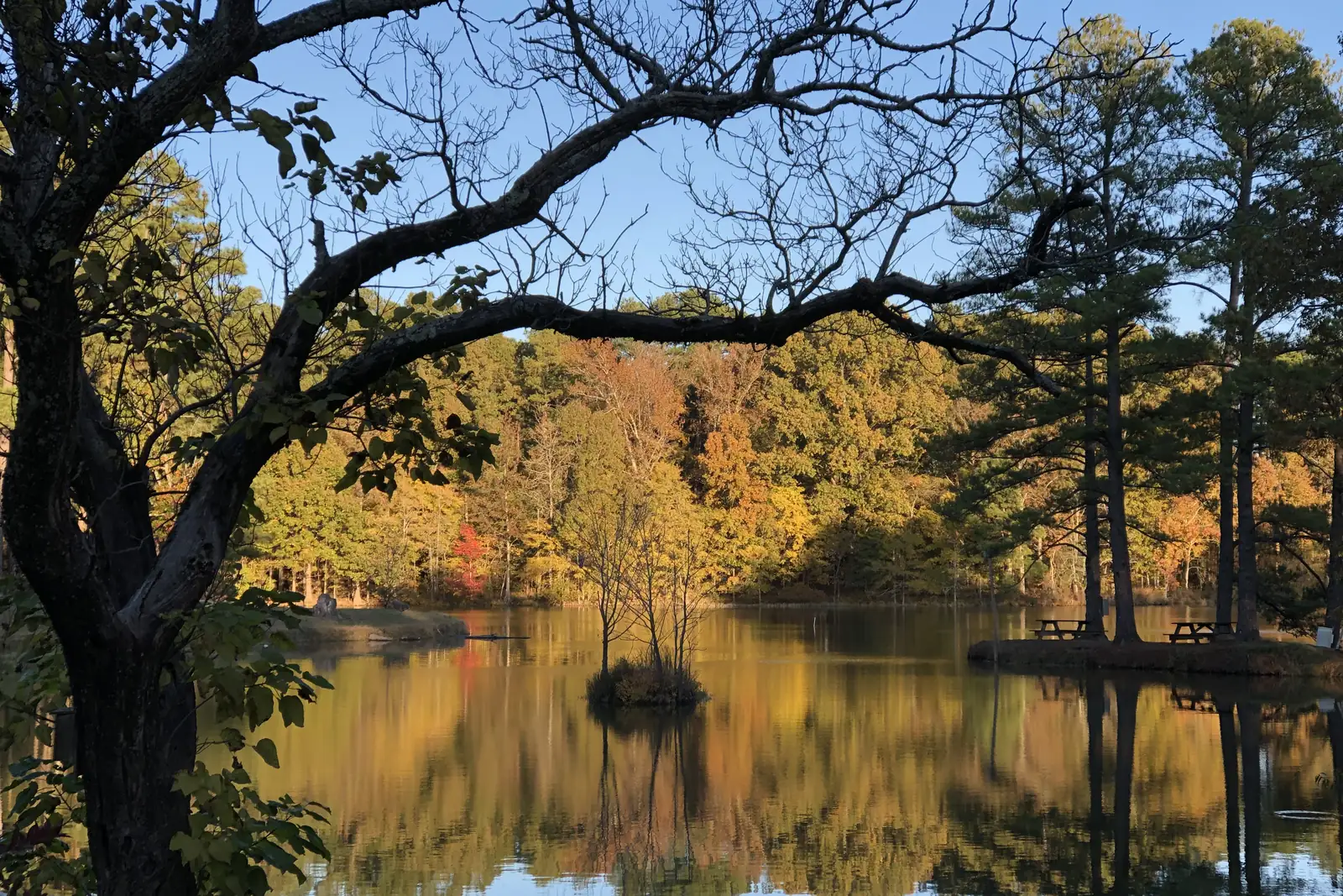 Trees reflected in Herb Parsons Lake, the 177-acre lake northeast of Collierville that the town suggests for a family day out.