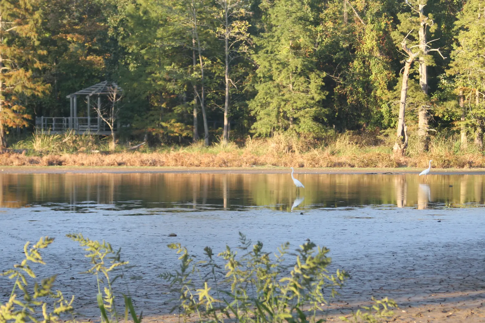 The lake and gazebo at W.C. Johnson Park in Collierville, home of the town's main spray park.