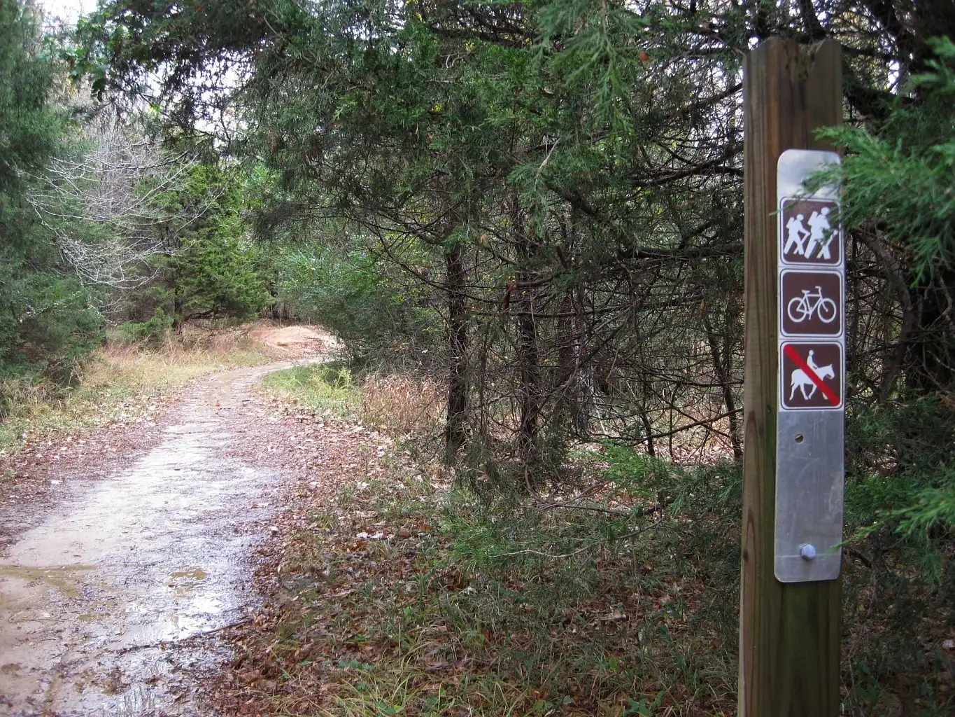 A hiking and biking trail through the woods at Shelby Farms Park in Memphis, home of the Thanksgiving morning Memphis Turkey Trot.