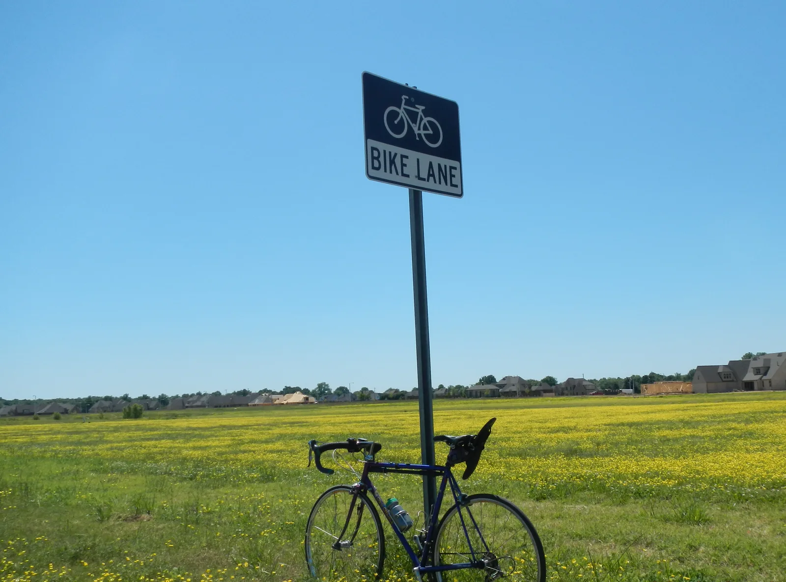 A road bike leans on a bike lane sign beside a field of yellow wildflowers in Collierville.